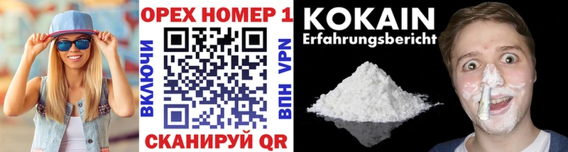 Cocaine Fish Scale  как найти закладки  Нахабино 