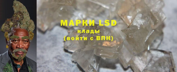крисы Майский