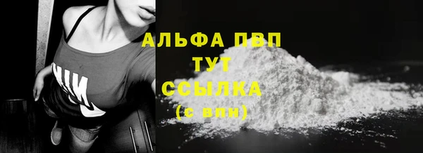 дмт Магас