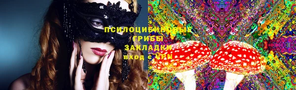 индика Магадан