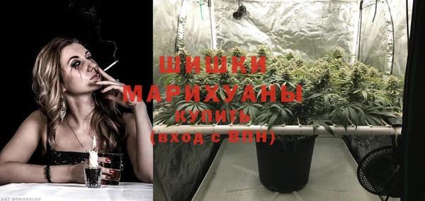 крисы Майский