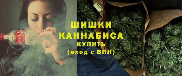 дмт Магас