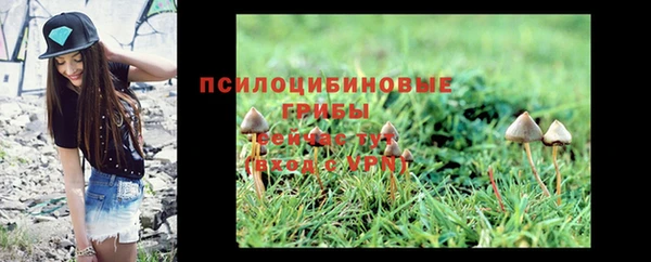 индика Магадан