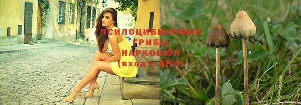 индика Магадан
