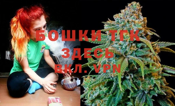 индика Магадан