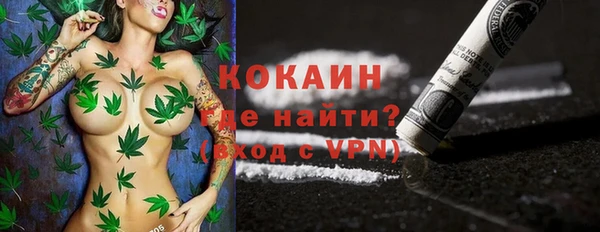 индика Магадан