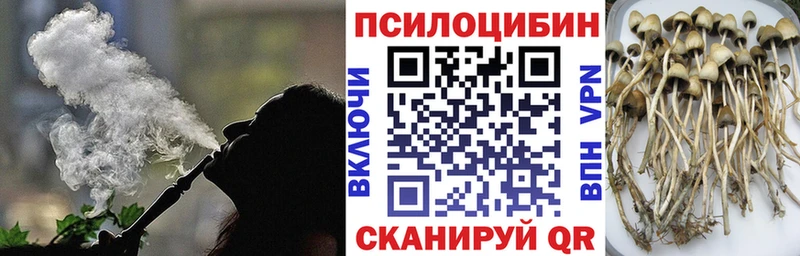 Псилоцибиновые грибы мухоморы  продажа наркотиков  нарко площадка клад  Нахабино 